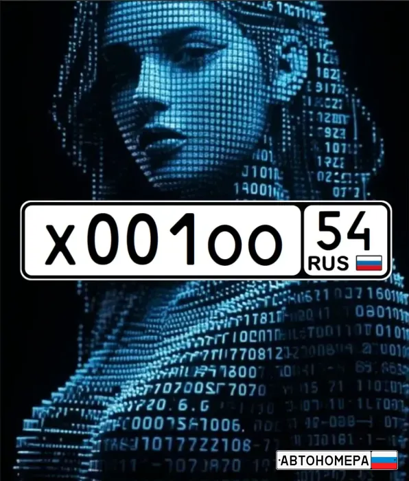 Х001ОО54