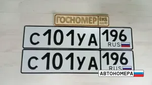 С101УА196