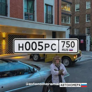 Н005РС750