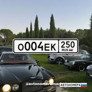 О004ЕК250