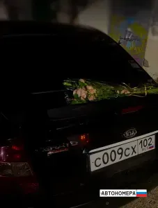 С009СХ102