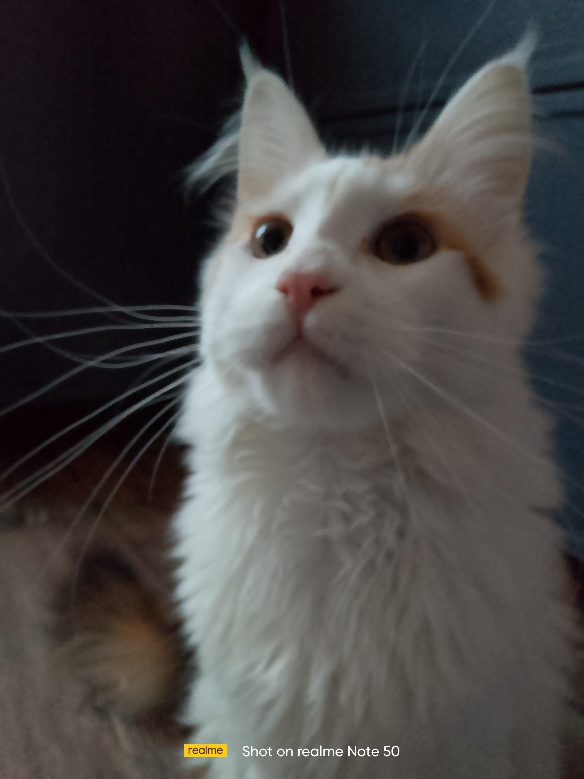 Пользователь Mkot44106