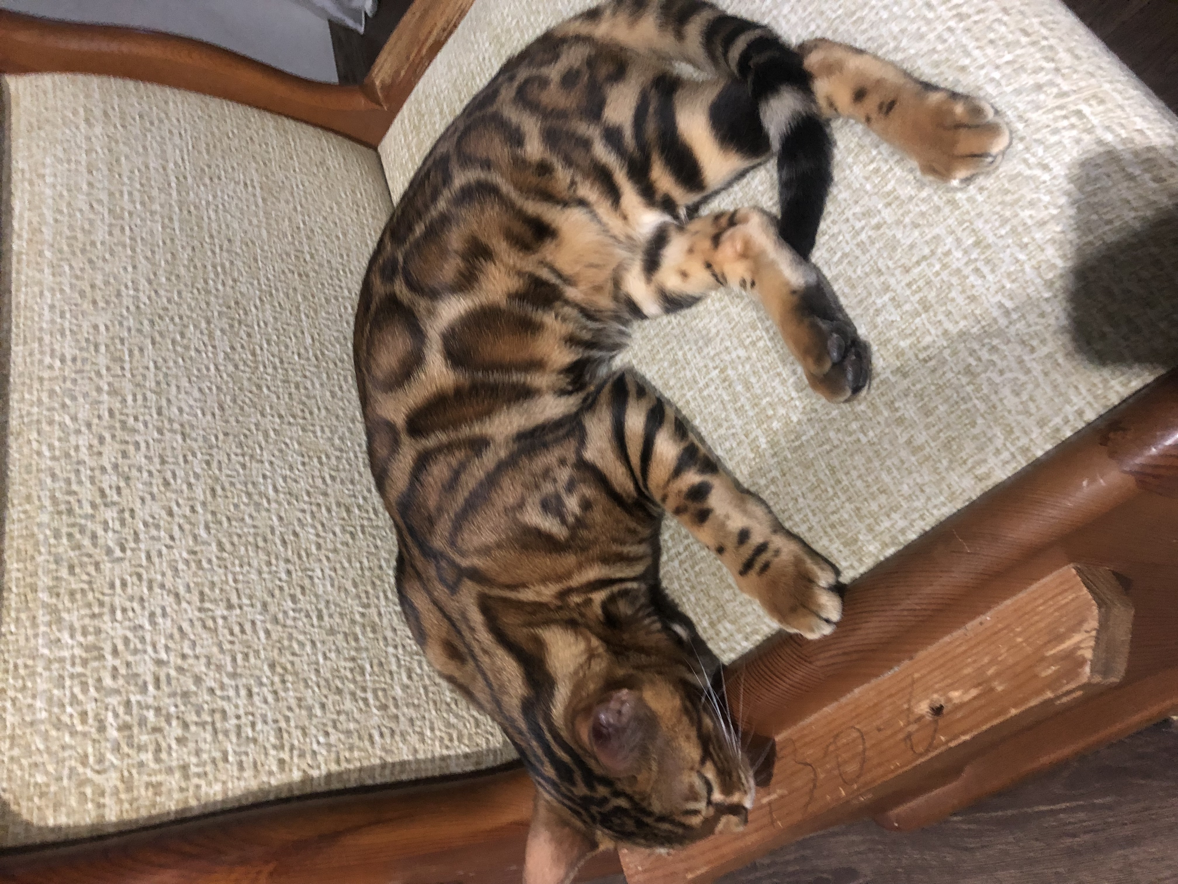 Пользователь Skydrow