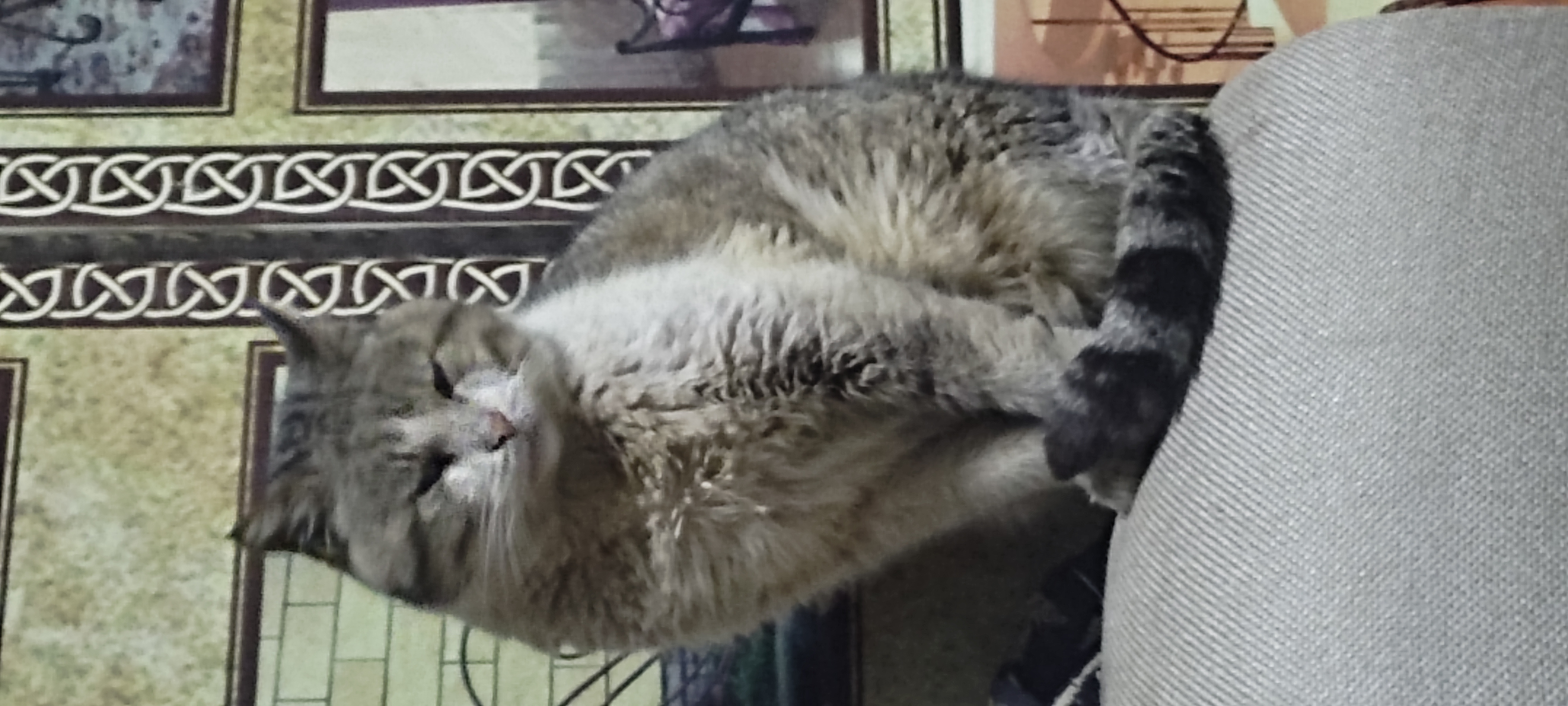 Пользователь mirzoev