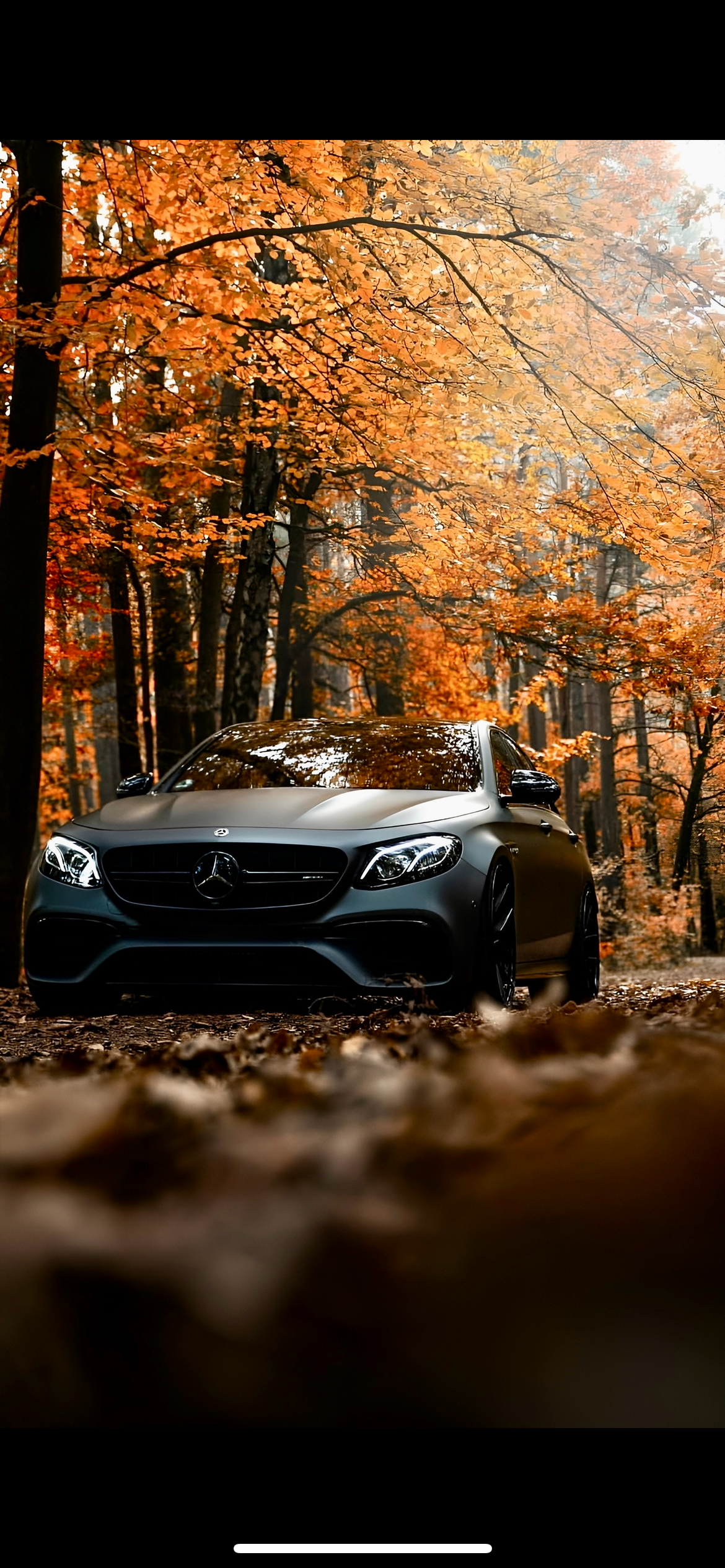 Пользователь asadov.87